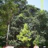 100_0500_CMP_WM