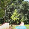 100_0501_CMP_WM