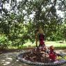 100_0531_CMP_WM