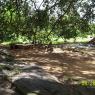 100_0533_CMP_WM