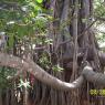 100_0537_CMP_WM