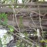 100_0538_CMP_WM