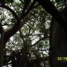 100_0544_CMP_WM