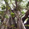 100_0551_CMP_WM