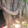 100_0553_CMP_WM