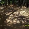 100_0557_CMP_WM