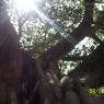 100_0563_CMP_WM