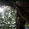 100_0564_CMP_WM