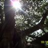 100_0565_CMP_WM