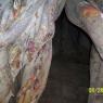 100_0567_CMP_WM