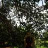 100_0571_CMP_WM
