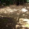 100_0576_CMP_WM