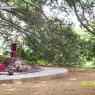 100_0578_CMP_WM