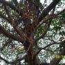 100_0591_CMP_WM