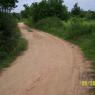 100_0608_CMP_WM