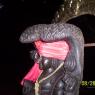 100_0652_CMP_WM