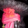 100_0657_CMP_WM