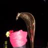 100_0664_CMP_WM
