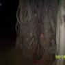 100_0677_CMP_WM
