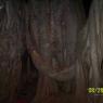 100_0679_CMP_WM