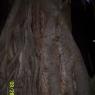 100_0680_CMP_WM
