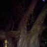 100_0684_CMP_WM