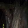 100_0685_CMP_WM
