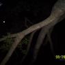 100_0686_CMP_WM
