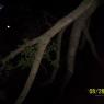 100_0687_CMP_WM