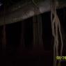 100_0690_CMP_WM