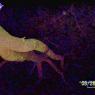 100_0693_CMP_WM