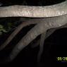 100_0694_CMP_WM
