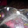 100_0696_CMP_WM