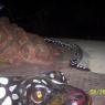 100_0701_CMP_WM
