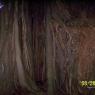 100_0704_CMP_WM