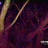 100_0705_CMP_WM