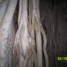 100_0706_CMP_WM