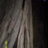 100_0707_CMP_WM