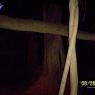 100_0708_CMP_WM