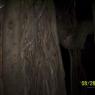 100_0710_CMP_WM