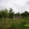 100_0346_CMP_WM