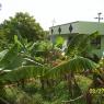 100_0414_CMP_WM