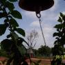 100_0425_CMP_WM