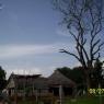 100_0427_CMP_WM