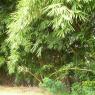 100_0433_CMP_WM