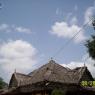 100_0602_CMP_WM