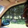 Aug27Morning 028_CMP_WM