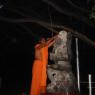 Jayanthi_2005_ashram (68)_CMP_WM