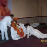 100_0530_CMP_WM