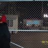100_1143_CMP_WM